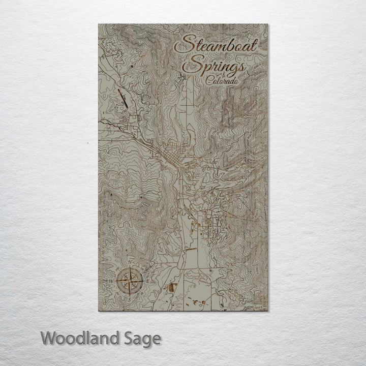 Steamboat Springs, Colorado Street Map