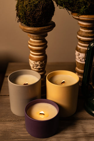 Seashells - Candle w/ Custom Magnetic Lid