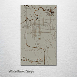 Maquoketa, Iowa Street Map