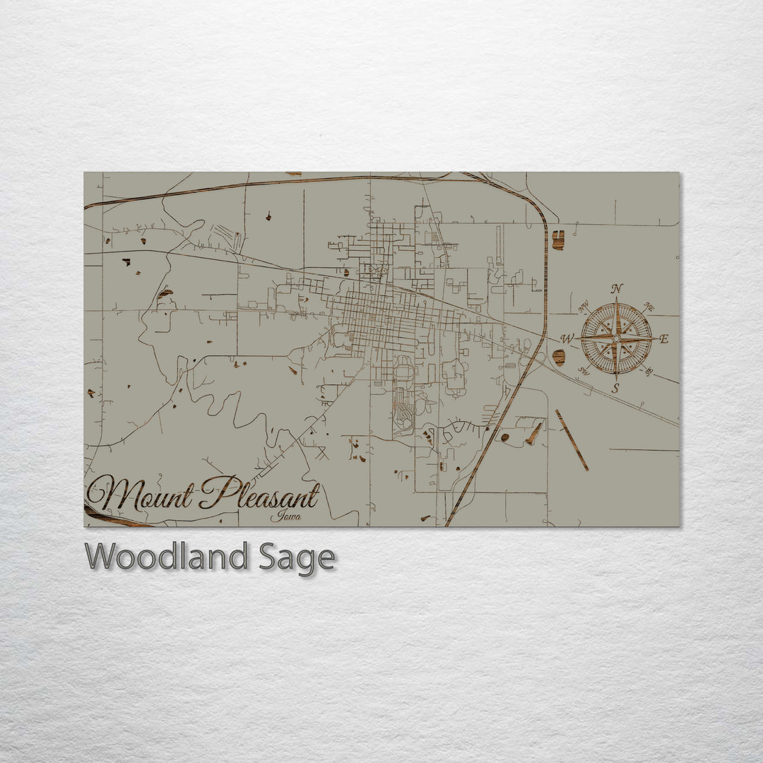 Mount Pleasant, Iowa Street Map