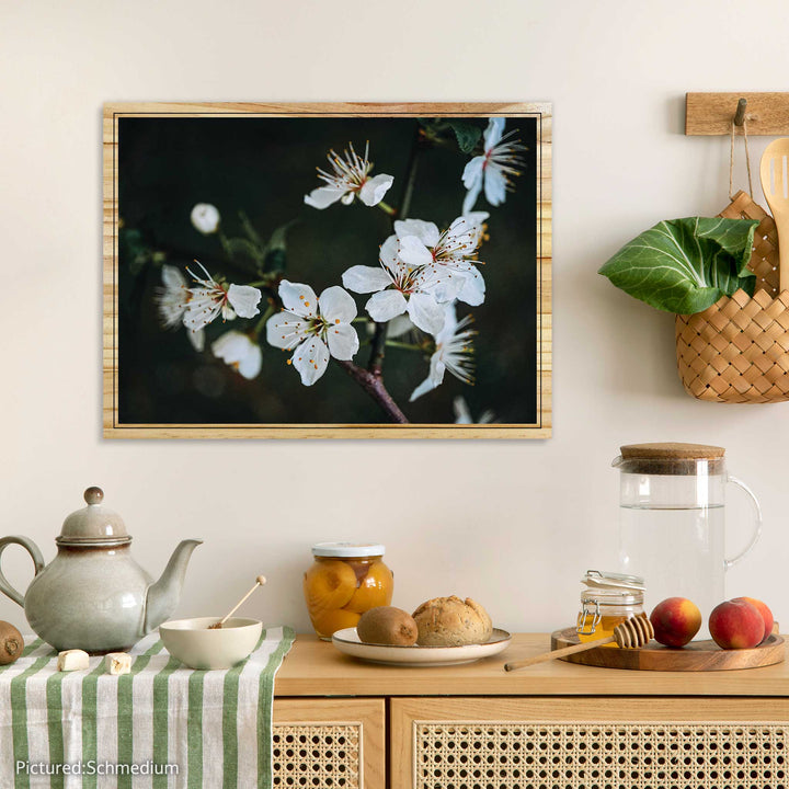 Cherry Blossom Branch