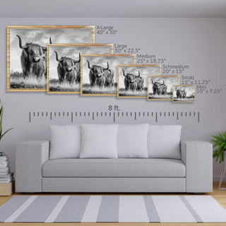Highland Cattle