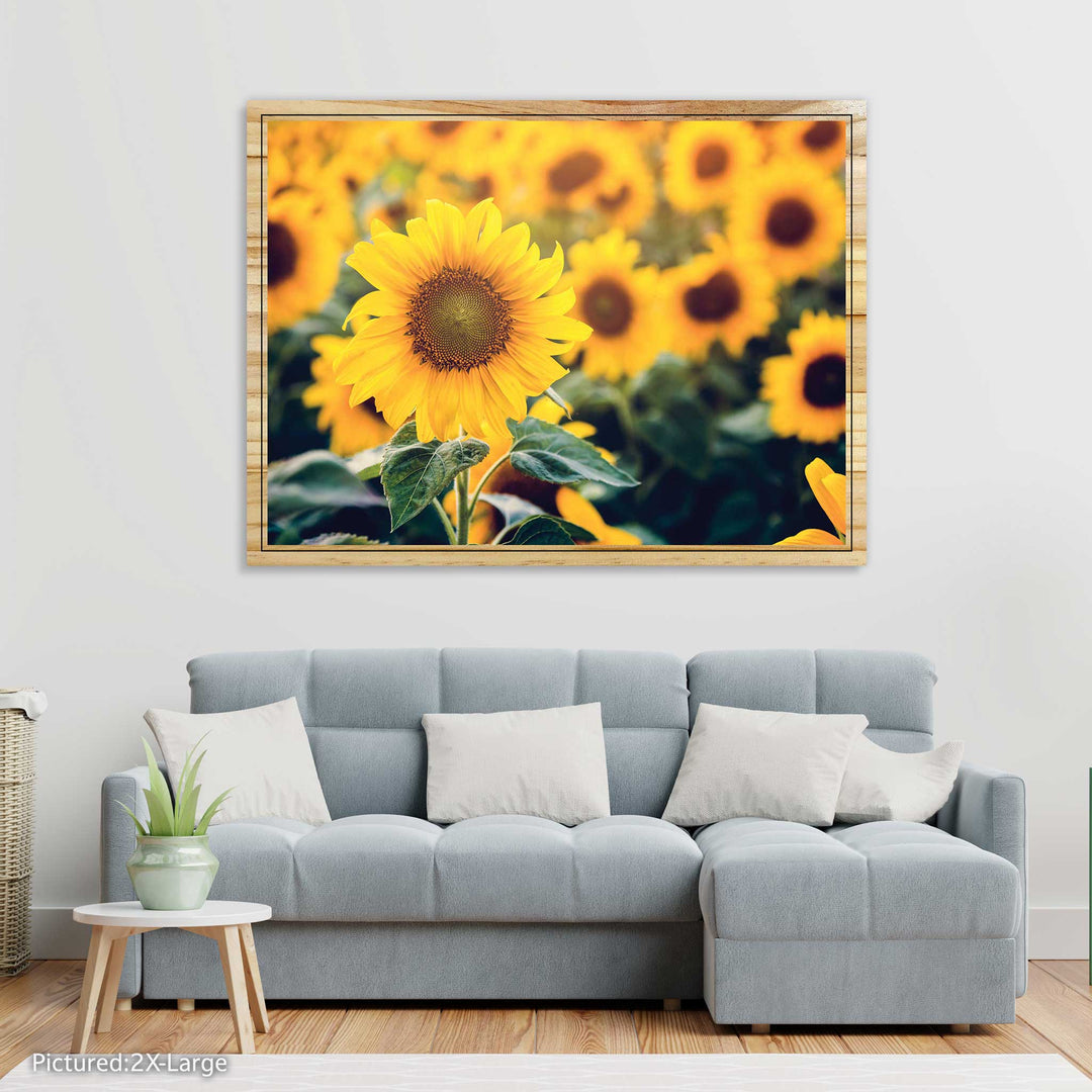 Sunflowers