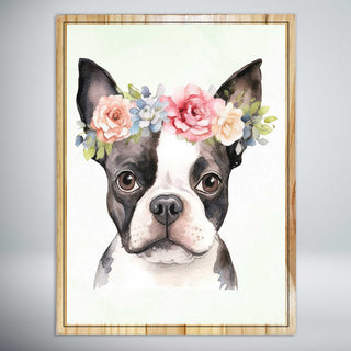 Boston Terrier Flower Crown
