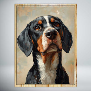 Bluetick Coonhound: Those Thoughtful Eyes