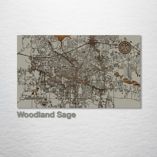Tallahassee, Florida Engraved Street Map (Silver)