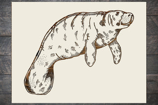 Exclusive - Manatee Engraved Patent
