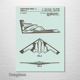 B-2 Bomber - Fire & Pine