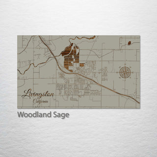 Livingston, California Street Map