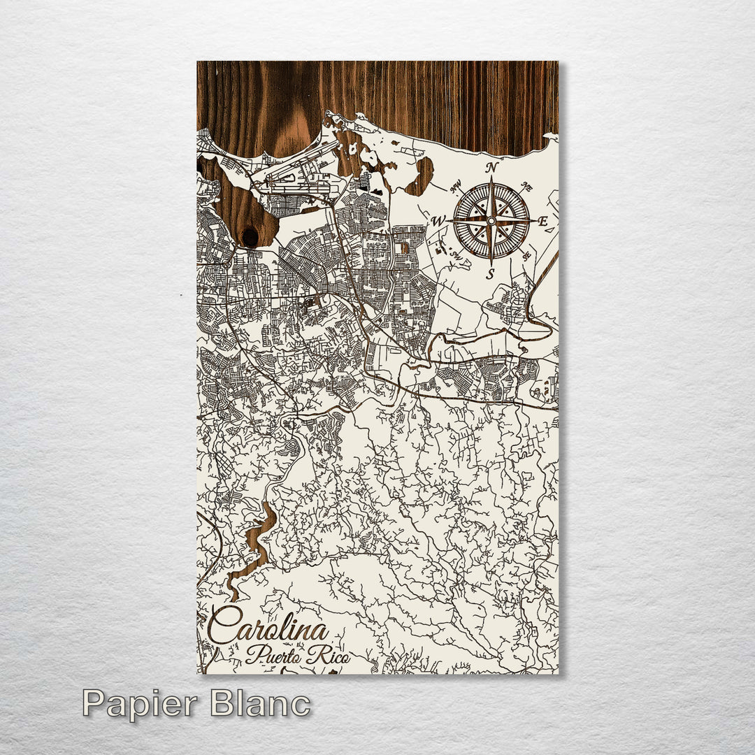 Carolina, Puerto Rico Street Map - Fire & Pine