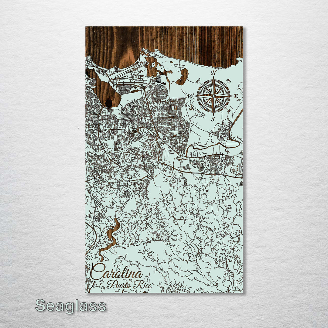 Carolina, Puerto Rico Street Map - Fire & Pine