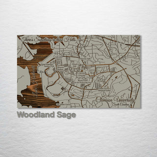 Clemson, South Carolina Campus Map - Fire & Pine