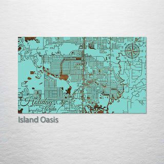 Holiday, Florida Street Map