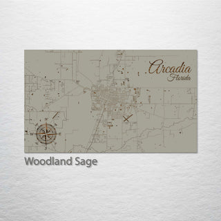 Arcadia, Florida Street Map