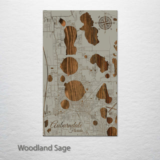 Auburndale, Florida Street Map