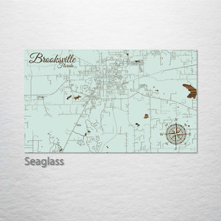 Brooksville, Florida Street Map