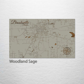 Brooksville, Florida Street Map