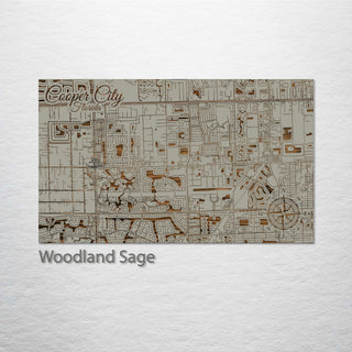 Cooper City, Florida Street Map