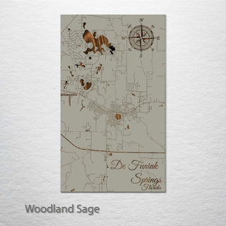 De Funiak Springs, Florida Street Map