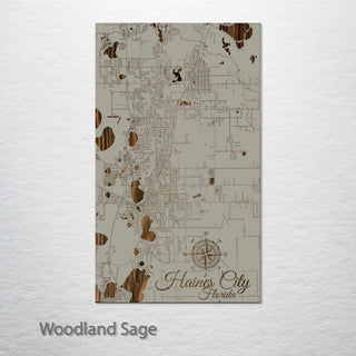 Haines City, Florida Street Map