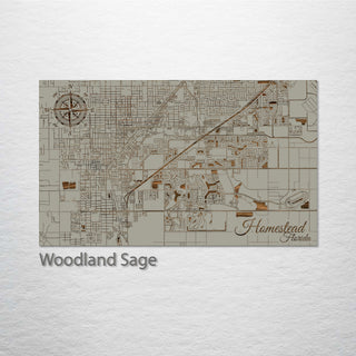 Homestead, Florida Street Map