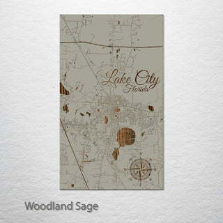 Lake City, Florida Street Map