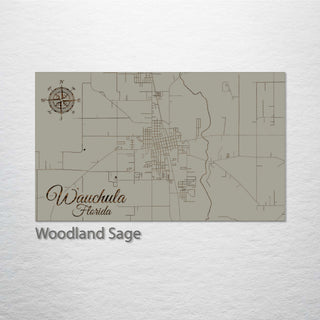 Wauchula, Florida Street Map