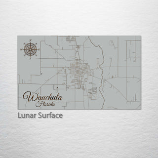 Wauchula, Florida Street Map