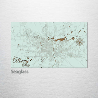 Albany, Georgia Street Map