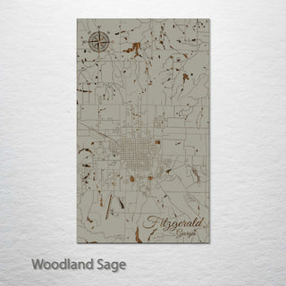 Fitzgerald, Georgia Street Map