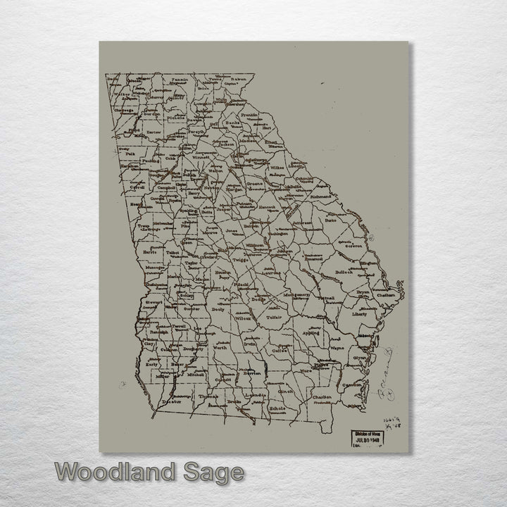 Georgia County Map 1893 - Fire & Pine