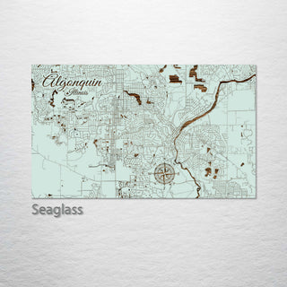 Algonquin, Illinois Street Map