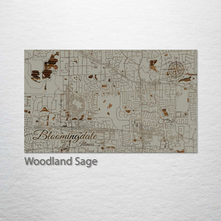 Bloomingdale, Illinois Street Map