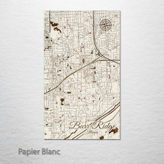 Burr Ridge, Illinois Street Map