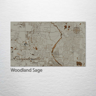 Carpentersville, Illinois Street Map