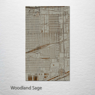 Cicero, Illinois Street Map