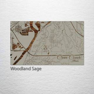 Creve Coeur, Illinois Street Map
