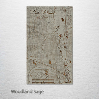 Des Plaines, Illinois Street Map