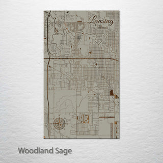 Lansing, Illinois Street Map