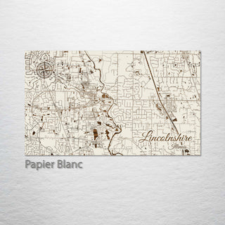 Lincolnshire, Illinois Street Map