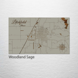 Litchfield, Illinois Street Map