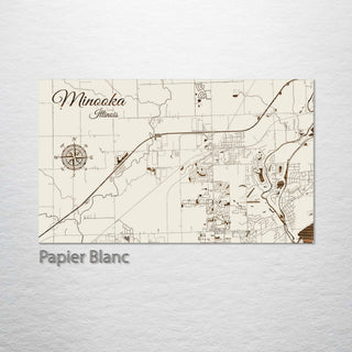 Minooka, Illinois Street Map