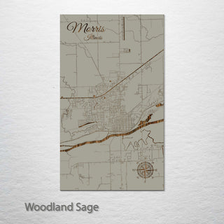 Morris, Illinois Street Map