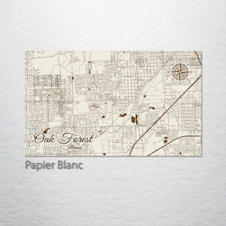 Oak Forest, Illinois Street Map