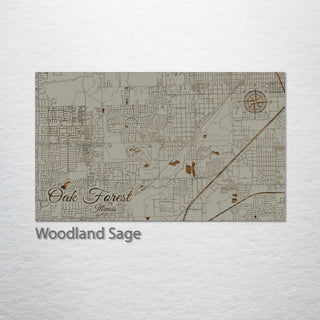 Oak Forest, Illinois Street Map