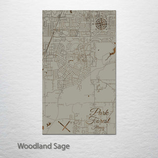 Park Forest, Illinois Street Map
