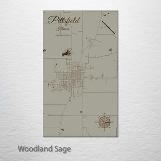 Pittsfield, Illinois Street Map