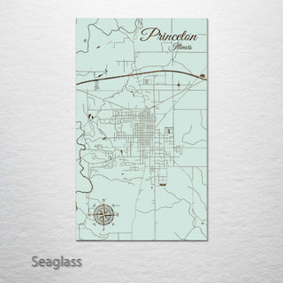 Princeton, Illinois Street Map