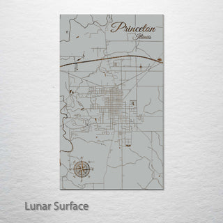 Princeton, Illinois Street Map