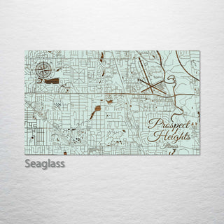 Prospect Heights, Illinois Street Map